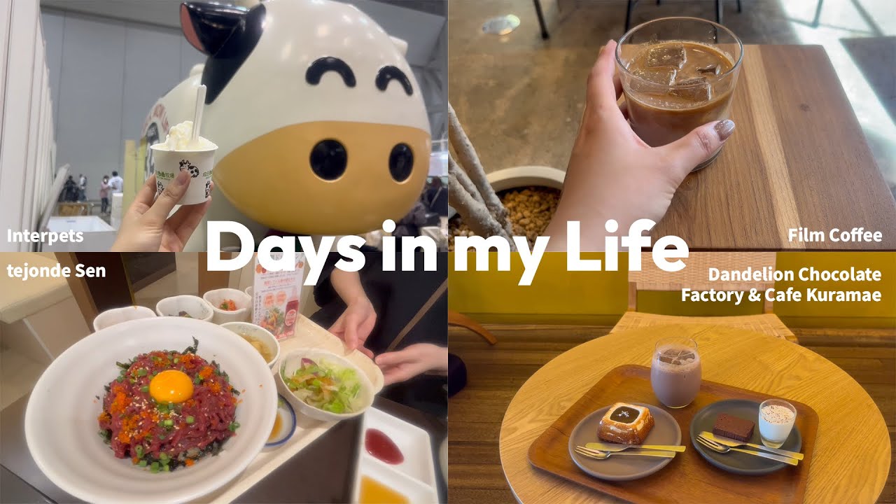 【Vlog】DANDELION CHOCOLATE|サンナッチ|おしゃれカフェで所在なさげ|掃除機買った!|インターペット2024