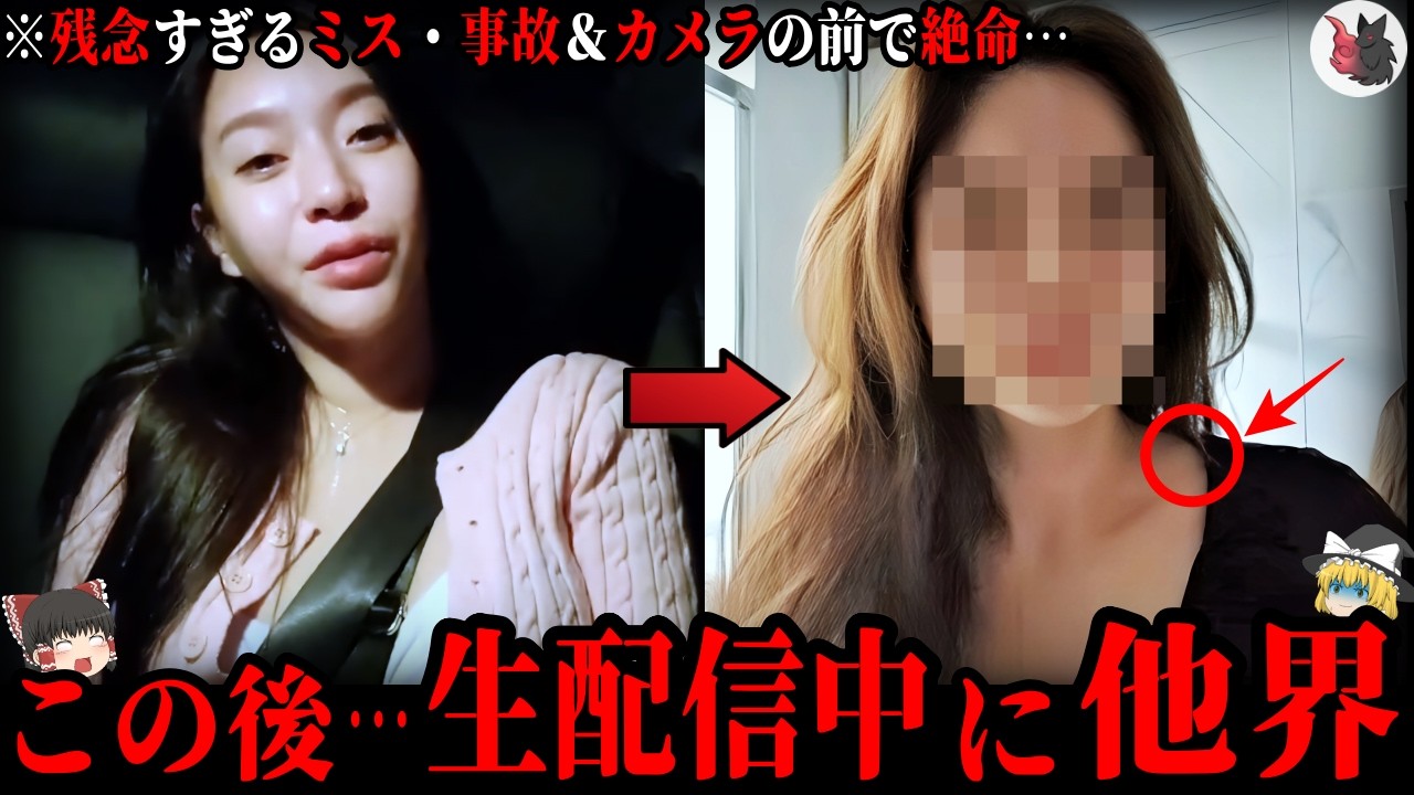 【ゆっくり解説】残念なミス・事故で他界、生配信中にカメラの前で他界してしまった人たち29選【総集編part3】