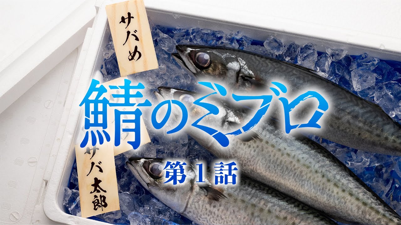 TVアニメ『青のミブロ』/次回予告CM「鯖のミブロ」#1/10月19日土曜夕方5時半放送開始!