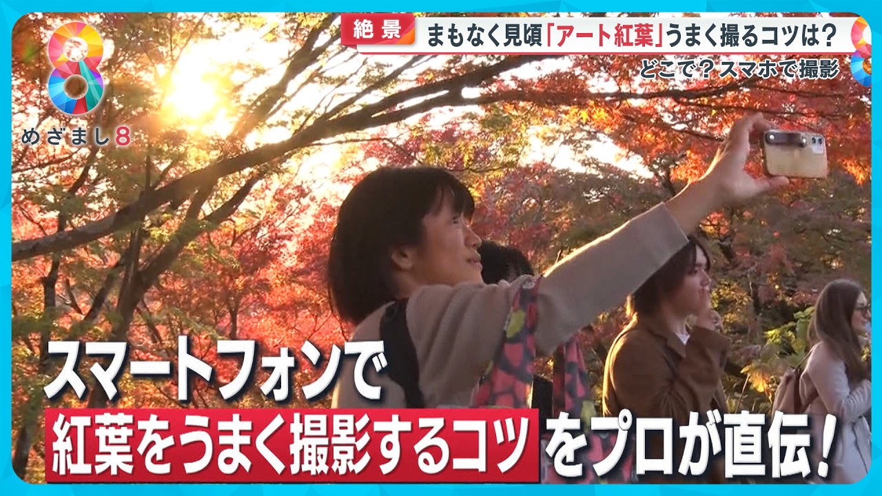 【必見】スマホで紅葉をうまく撮影するコツをプロが伝授! “まるでアート”紅葉ランキングベスト10【めざまし8ニュース】