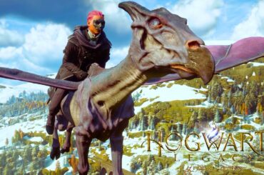 世界中で話題になった「ハリーポッターの世界でクソ魔法使い」になれるゲーム『 ホグワーツレガシー 』#5