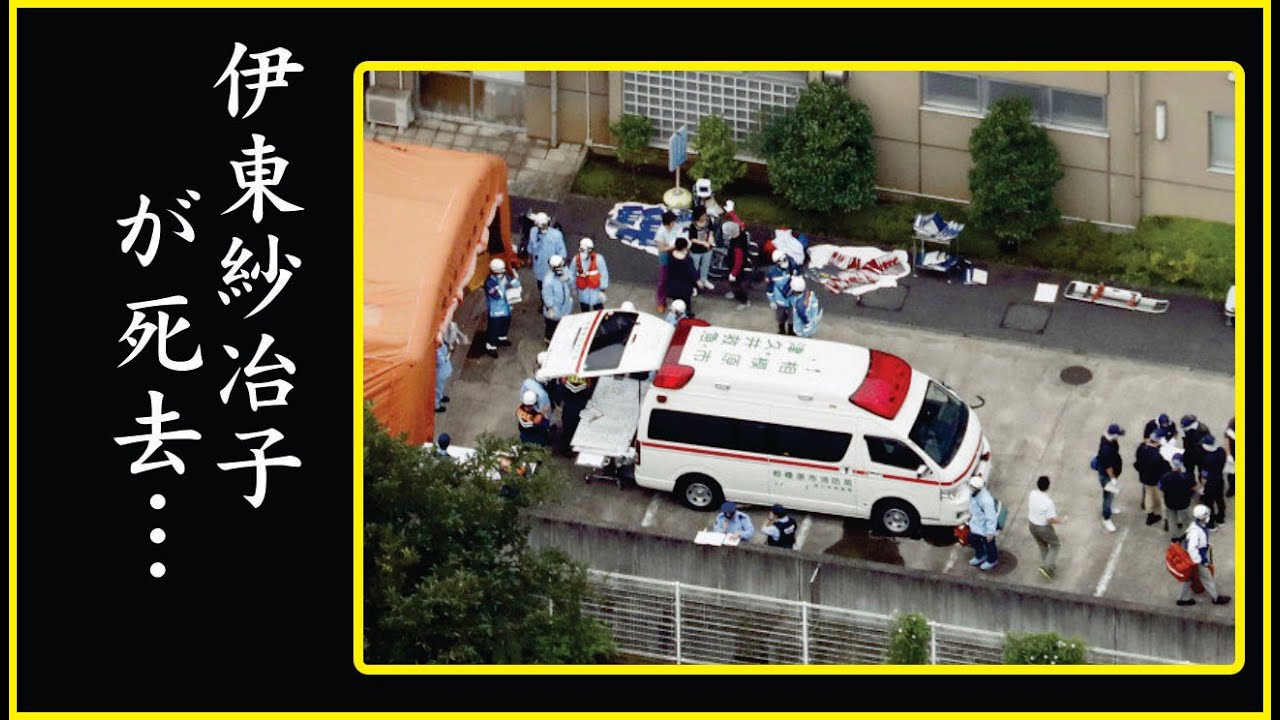 破棄された遺言の内容が…伊東紗冶子の人生の幕引きに震える!呼吸困難で心肺停止間近…伊東紗冶子の現状に絶句!