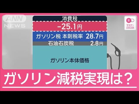 ガソリン減税実現は?「トリガー条項」凍結解除に期待の声も…高いハードル【サタデーステーション】(2024年11月9日)