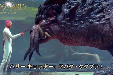 世界中で話題になった「ハリーポッターの世界でクソ魔法使い」になれるゲーム『 ホグワーツレガシー 』#6 完