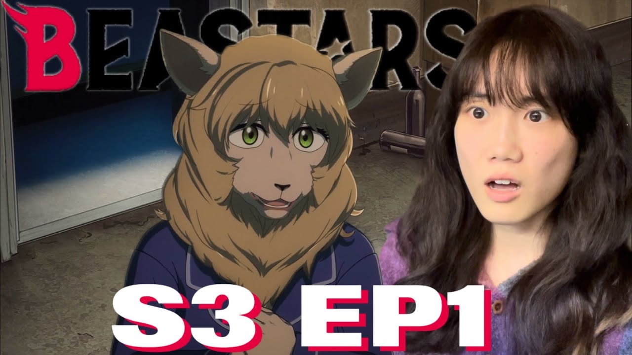 left the school behind! Beastars Final Season Episode 1 Reaction | 动物狂想曲3 リアクション