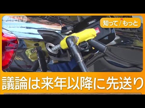 ガソリン減税、結論1年先送り “マルバツ審議”は廊下で聞き耳 国民民主は?【知ってもっと】【グッド!モーニング】(2024年12月3日)