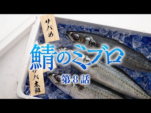 TVアニメ『青のミブロ』/次回予告CM「鯖のミブロ」#8/毎週土曜夕方5時半放送中!
