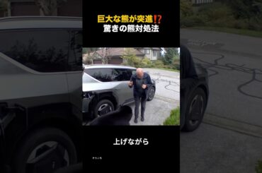 巨大な熊が人間に突進！驚きの熊対処法