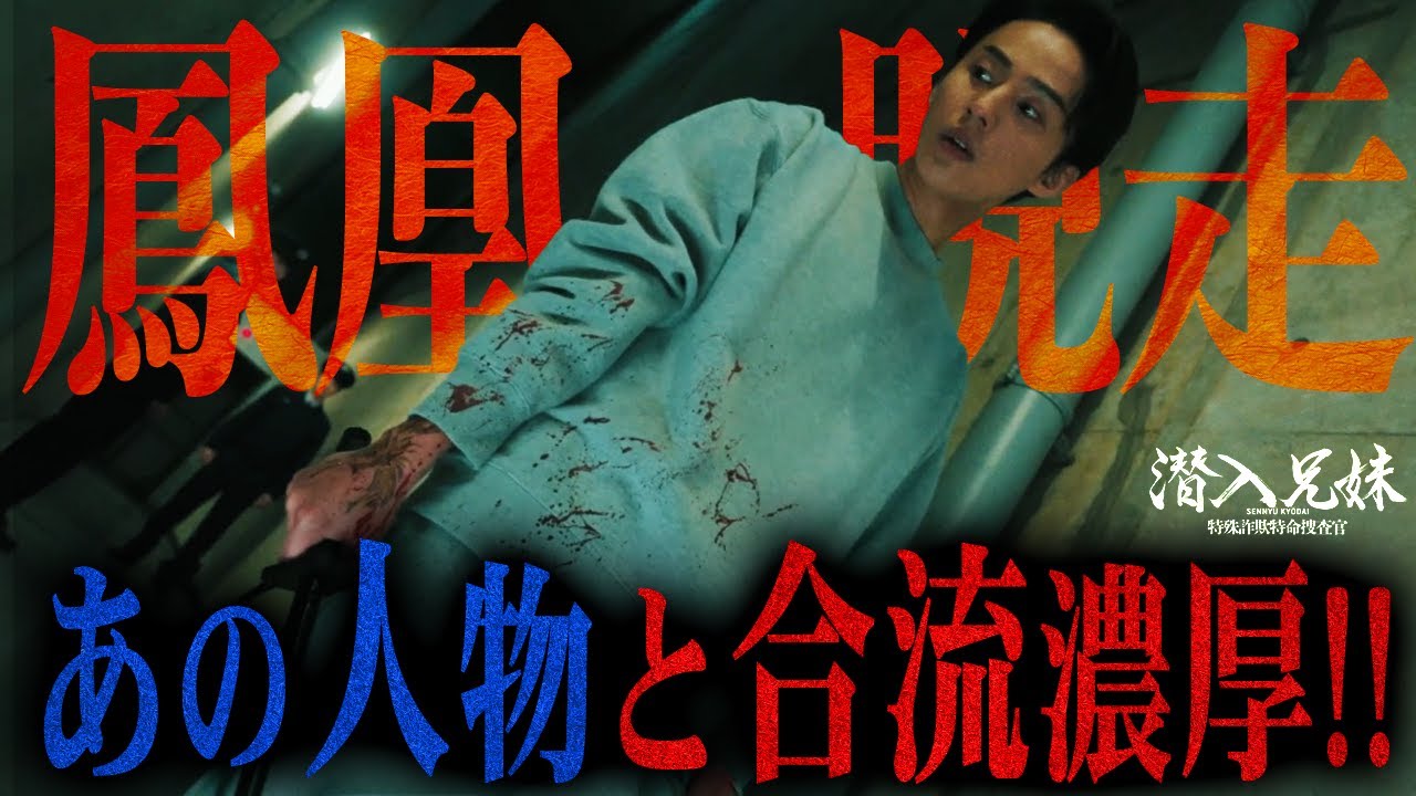 【潜入兄妹】最終話 衝撃のラストを完全解説!!鳳凰の脱走劇…手引きしたのは〇〇?残る謎潜むオレパの正体とは?【幻獣】【九頭龍】