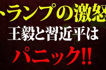 【速報】ドナルド・トランプの激怒！中国経済全体が崩壊！王毅と習近平はパニック！