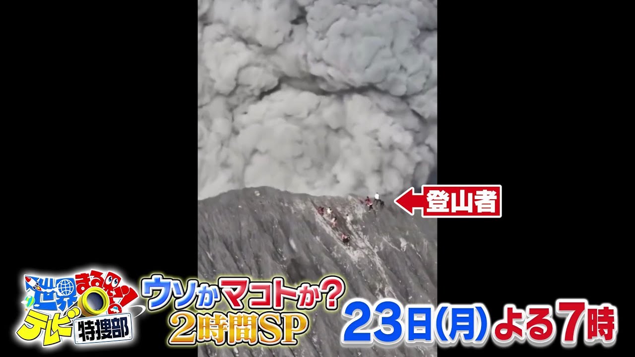 【世界まる見え】12月23日(月)よる7時