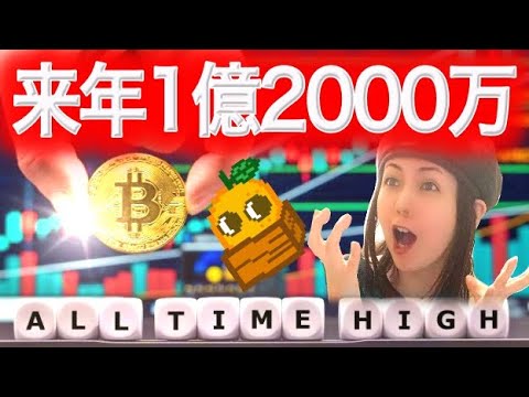 1万円→1200万円なるか!アメリカが20万BTC買うかも知れない