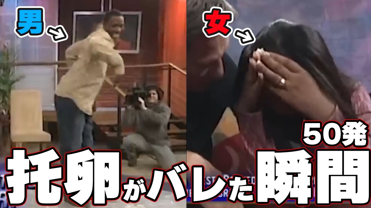 【ゆっくり解説】托卵が発覚した瞬間50発【DNAテスト】