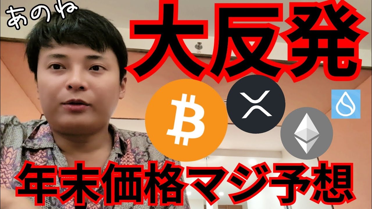 ビットコイン大反発なぜ?年末価格をマジ予想します。【仮想通貨 暗号通貨 暗号資産 BTC ETH XRP SOL SUI他】