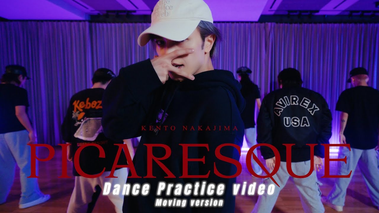「ピカレスク」Dance Practice Video Moving ver.