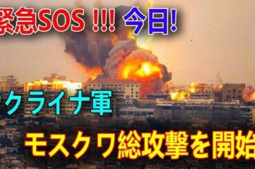 最新ニュース 2024年12月31日