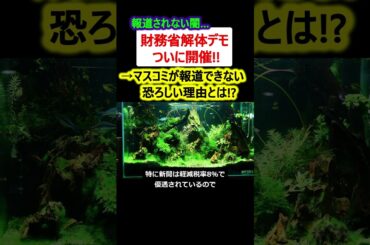 【財務省解体デモ】マスコミが報道しない理由が酷すぎる…【政治ニュース】