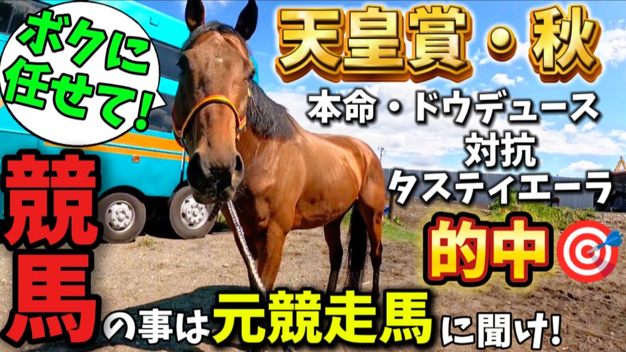 【元競走馬のJC予想】天皇賞・秋を大的中させた引退競走馬にジャパンカップの予想をして頂きました。「ツルマルボーイ様のシモベ」