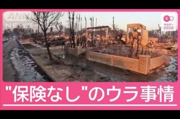 LA大規模火災　被災者の多く“保険未加入”か　現地特有の事情とは【サタデーステーション】(2025年1月11日)