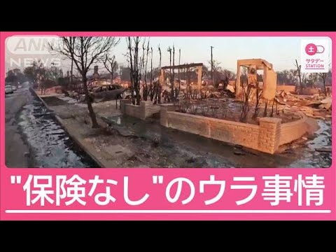 LA大規模火災 被災者の多く“保険未加入”か 現地特有の事情とは【サタデーステーション】(2025年1月11日) LA大規模火災 被災者の多く“保険未加入”か 現地特有の事情とは【サタデーステーション】(2025年1月11日)