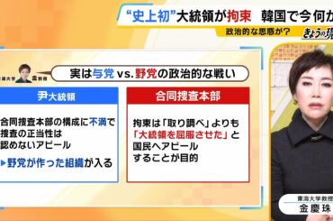 【尹錫悦大統領を拘束】韓国で『内乱罪』は無期懲役・死刑レベル？拘束は『大統領を屈服させた』国民へのアピール？混乱の裏側には「与党ｖｓ.野党」の政治的な戦いが…【専門家が解説】