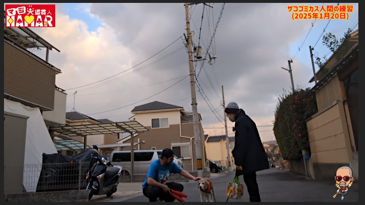 犬はザコゴミカス人間にも優しい