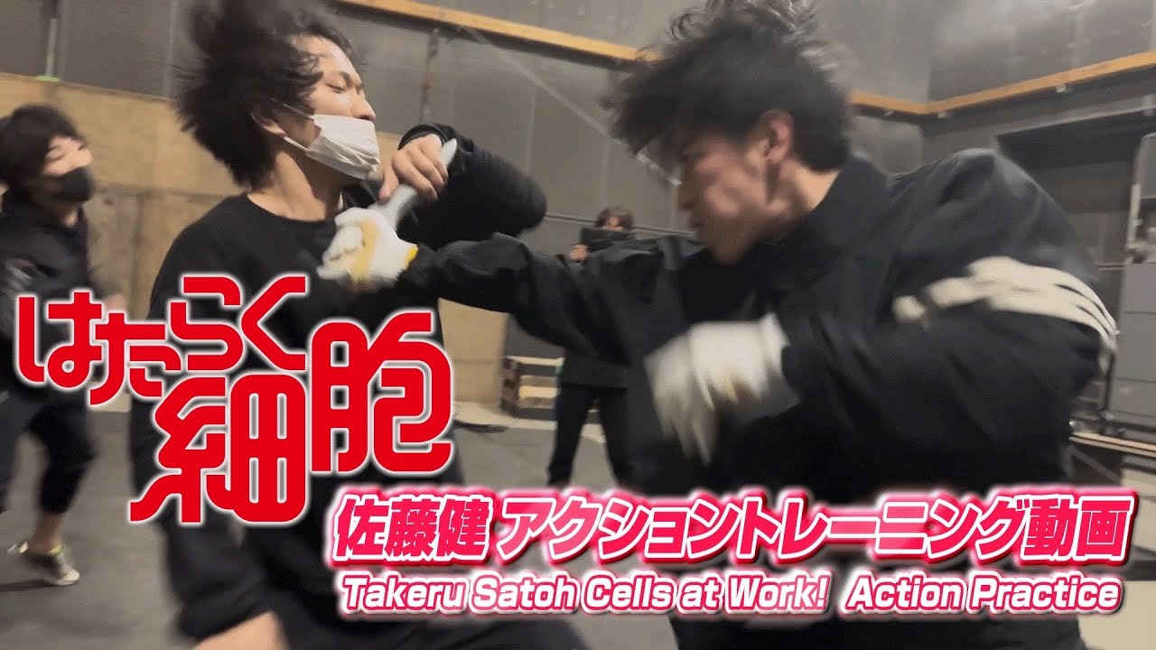 はたらく細胞 佐藤健アクショントレーニング動画 / Takeru Satoh Cells at Work! Action Practice