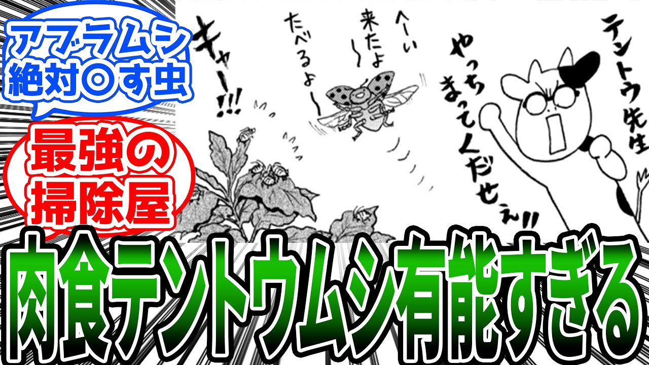ナナホシテントウ先生「へーい来たよ〜アブラムシたべるよ〜」に対する読者の反応集【百姓貴族】