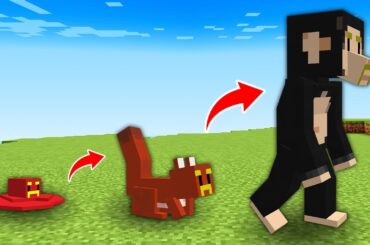 生物の進化をたどりながらエンドラ討伐【マイクラ】