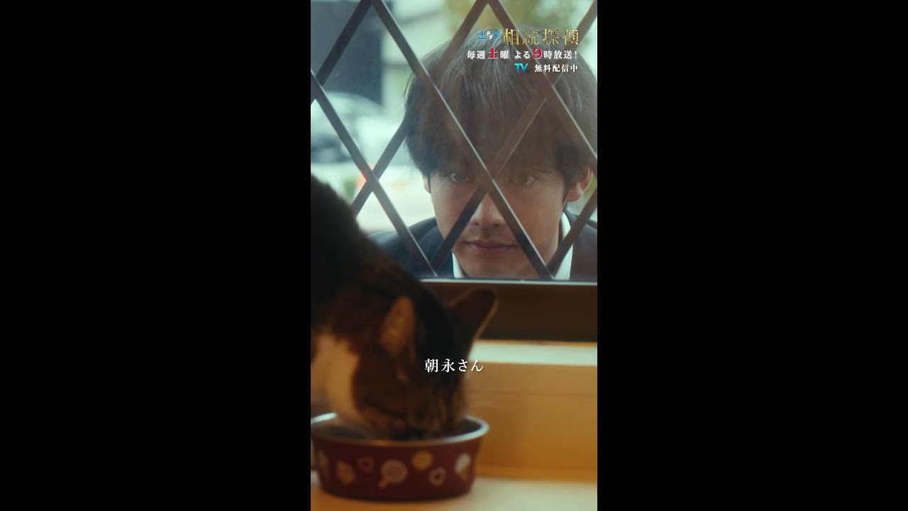 「保護猫カフェ…」 #相続探偵 #第3話 #ドラマ #切り抜き #赤楚衛二 #矢本悠馬 #トラウデン直美 #shorts