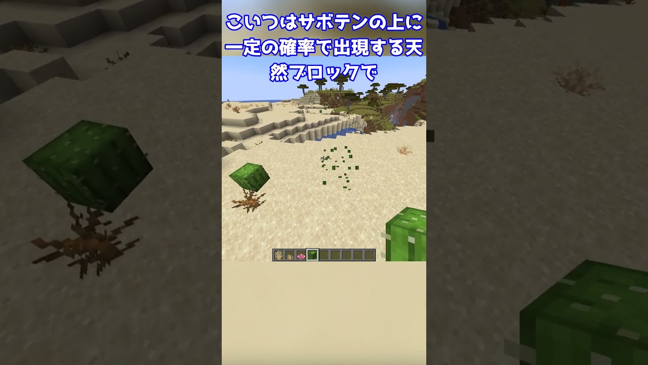 【最新情報】砂漠に新しい植物が追加! #マインクラフト #ゆっくり #minecraft #ゆっくり解説
