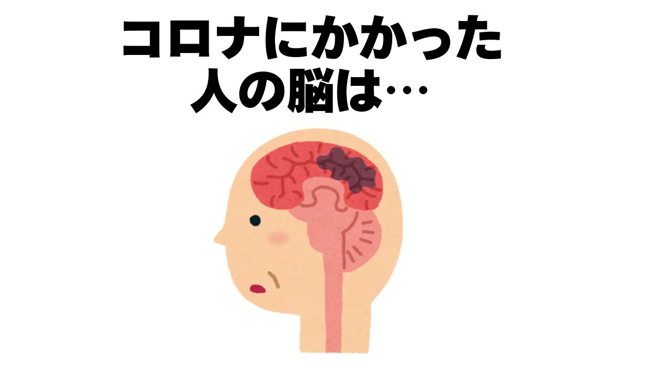 【最新科学で徹底解説】コロナ感染で脳が!?スキンケアの裏実態・正しい歯磨き・最適なコーヒータイミング他【9割が知らない雑学】