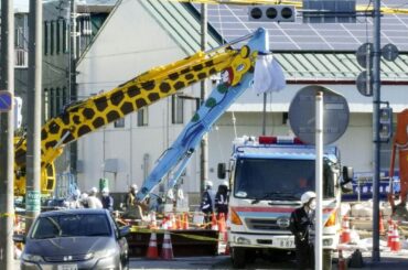 【八潮・道路陥没】インフラ投資半減・自治体任せのツケ！ガス抜き程度の「地方創生」より、国主導の国土強化を 神戸大・小池淳司教授に聞く（2）(1/4) | JBpress (ジェイビープレス)