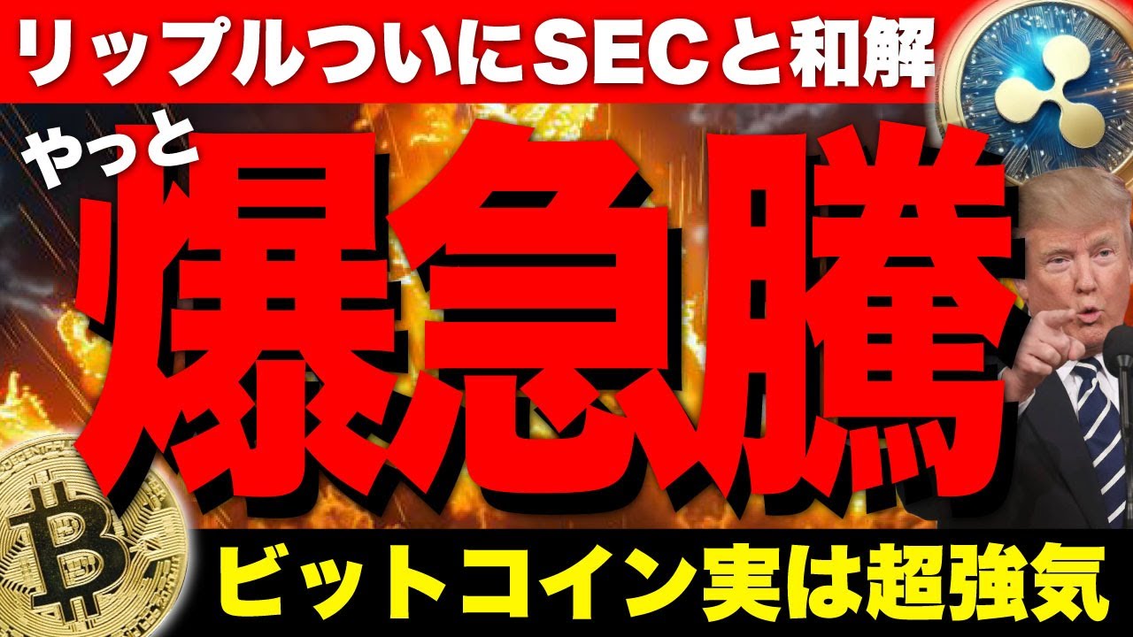 ビットコイン過去最高に超強気。リップルはSECと和解、そしてETF申請承認へ!【仮想通貨 暗号通貨 ビットコイン FX リップル】