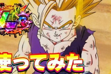 10周年 LR親子かめはめ波を使ってみたら凄かったです【ドッカンバトル】