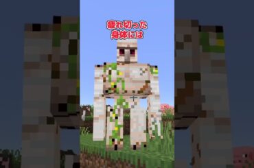 【アドオン紹介】焼かれるだけが運命じゃない【統合版マイクラ】