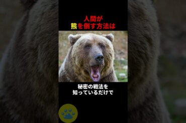 熊の倒し方（完全版）の秘密🤫暴露します🔥