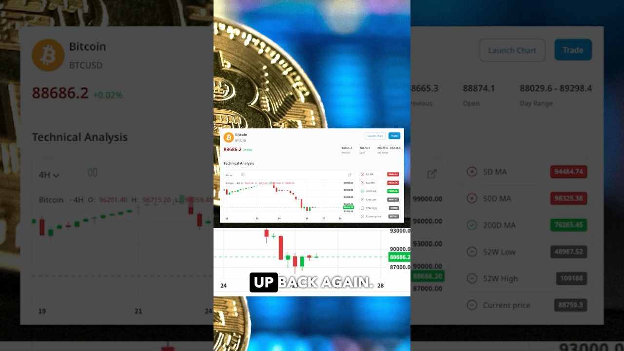 Bitcoin in Free-Fall! What’s Driving the Wild Moves?