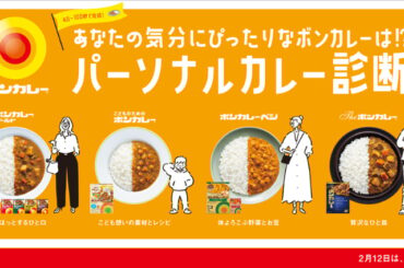 自分の気分に合った商品が分かる！ 大塚食品が「ボンカレー」公式サイトで“診断コンテンツ”開始 18個セット当たるキャンペーンも | オトナンサー