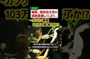 維新のせいで、国民民主党の103万の壁・ガソリン減税 終了へ…