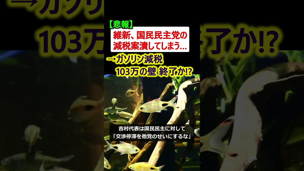 維新のせいで、国民民主党の103万の壁・ガソリン減税 終了へ… 維新のせいで、国民民主党の103万の壁・ガソリン減税 終了へ…