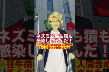 かかったら絶対に死ぬ病【狂牛病】#Shorts