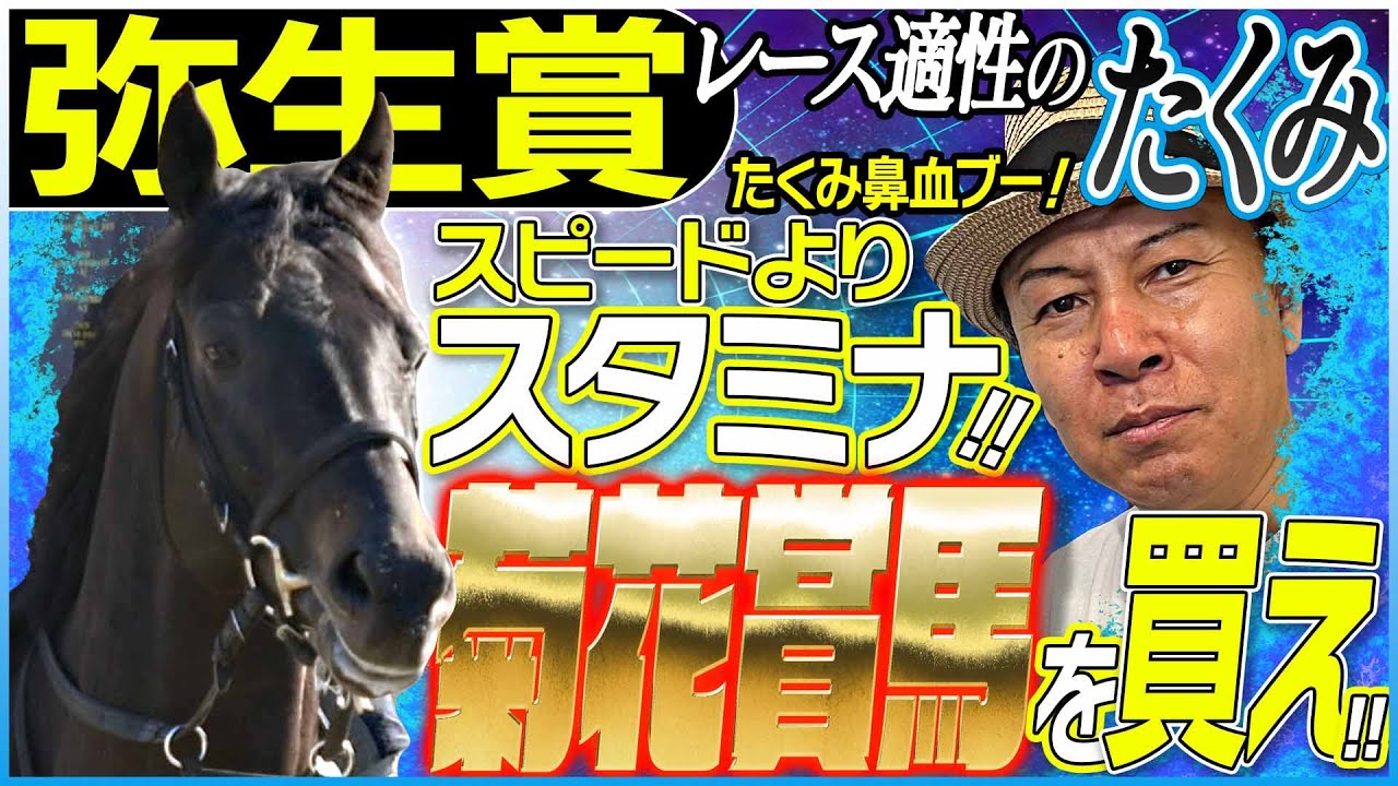 【弥生賞2025】スピードよりスタミナ!太組不二雄が皐月賞トライアルのレース適性馬をジャッジ!《東スポ競馬》