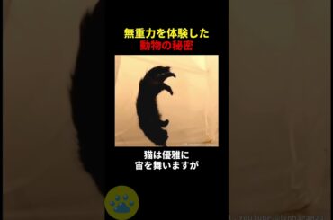 無重力を初体験した動物の秘密🤫暴露します🔥