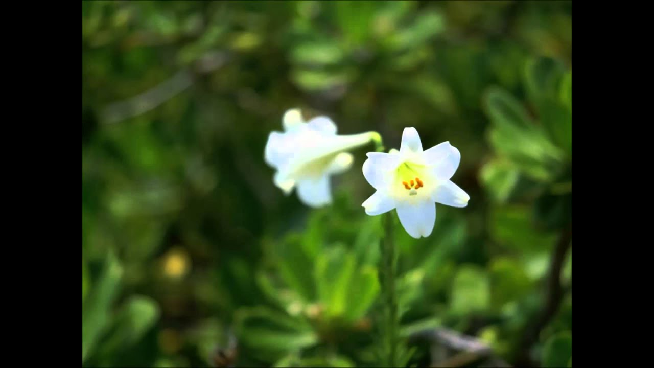 No.31 桐山 塁先生