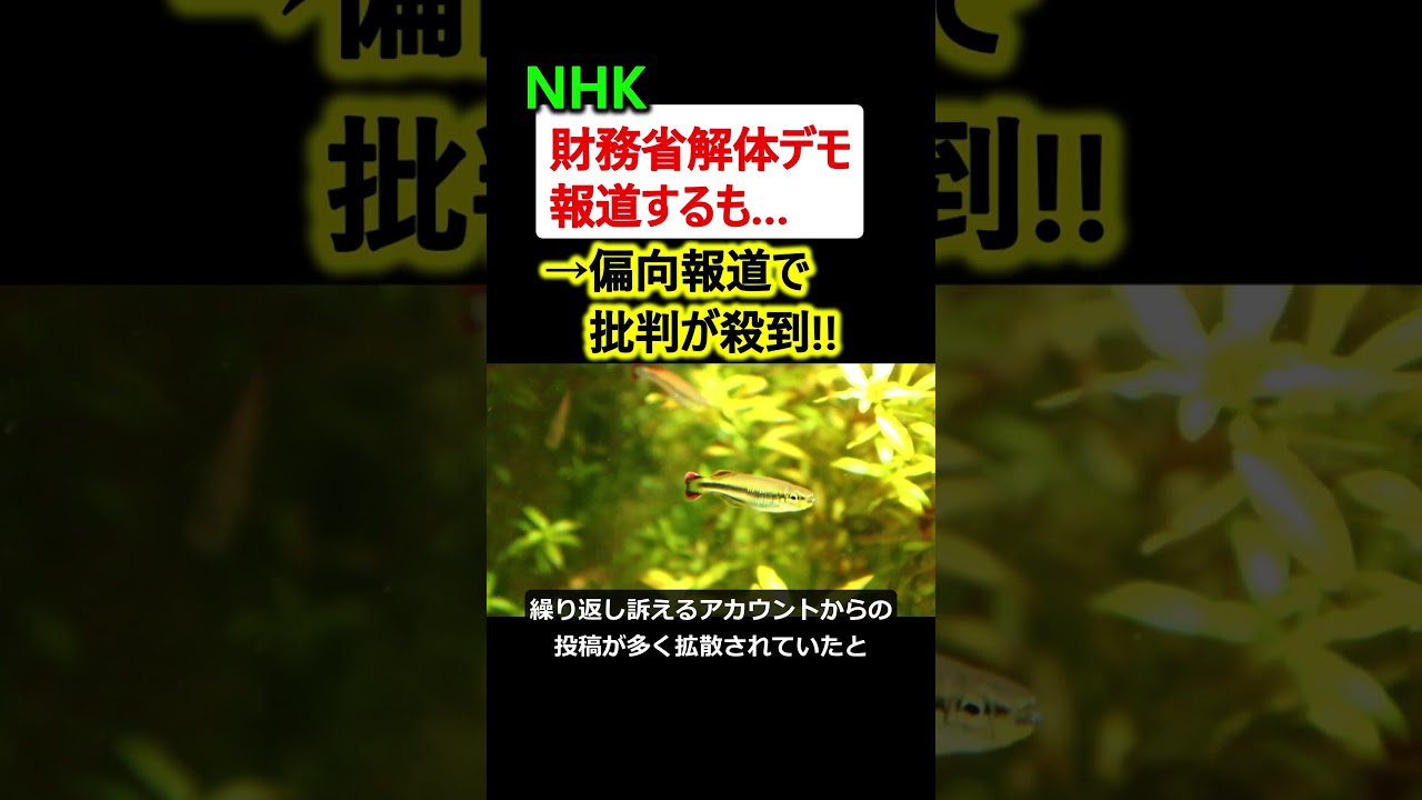 【は?】NHK、財務省解体デモを取り上げるも偏向報道→大炎上!! 【は?】NHK、財務省解体デモを取り上げるも偏向報道→大炎上!!
