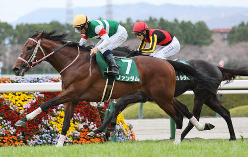 次元が違う!ファンダム無傷3連勝で重賞V北村宏騎手「この先も頑張ってくれる」/毎日杯 – ニッカンスポーツ 毎日杯を制したファンダムと北村宏騎手。後方は2着のガルダイア(撮影・宮崎幸一)