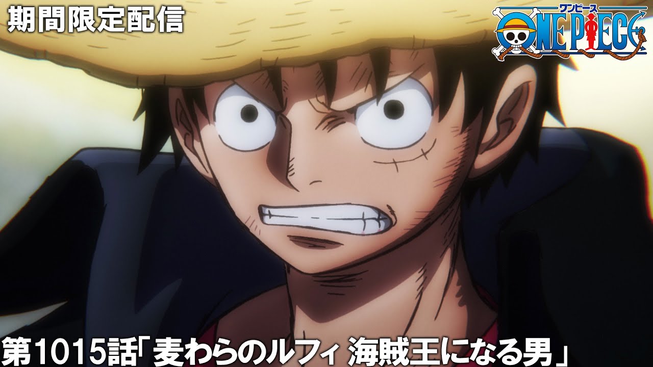 【公式アニメ】『ONE PIECE』第1015話「麦わらのルフィ 海賊王になる男」 【200万人記念!期間限定配信】