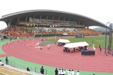 【速報】都城市の野生イノシシは確定検査で「陽性」と判明 野生イノシシの豚熱感染は宮崎県内初｜ニュース - UMKテレビ宮崎