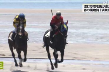 鹿児島 いちき串木野 「浜競馬」 見物客でにぎわう｜NHK 鹿児島県のニュース